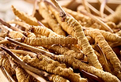 圖片名稱 圖片名稱